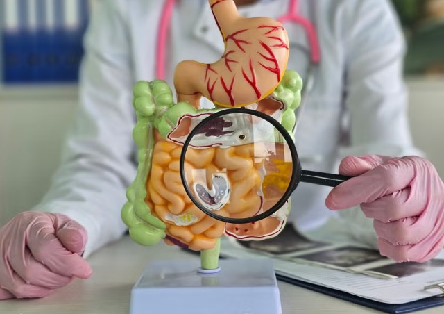 Agomab Therapeutics хочет оценку $828,5 млн на IPO в США