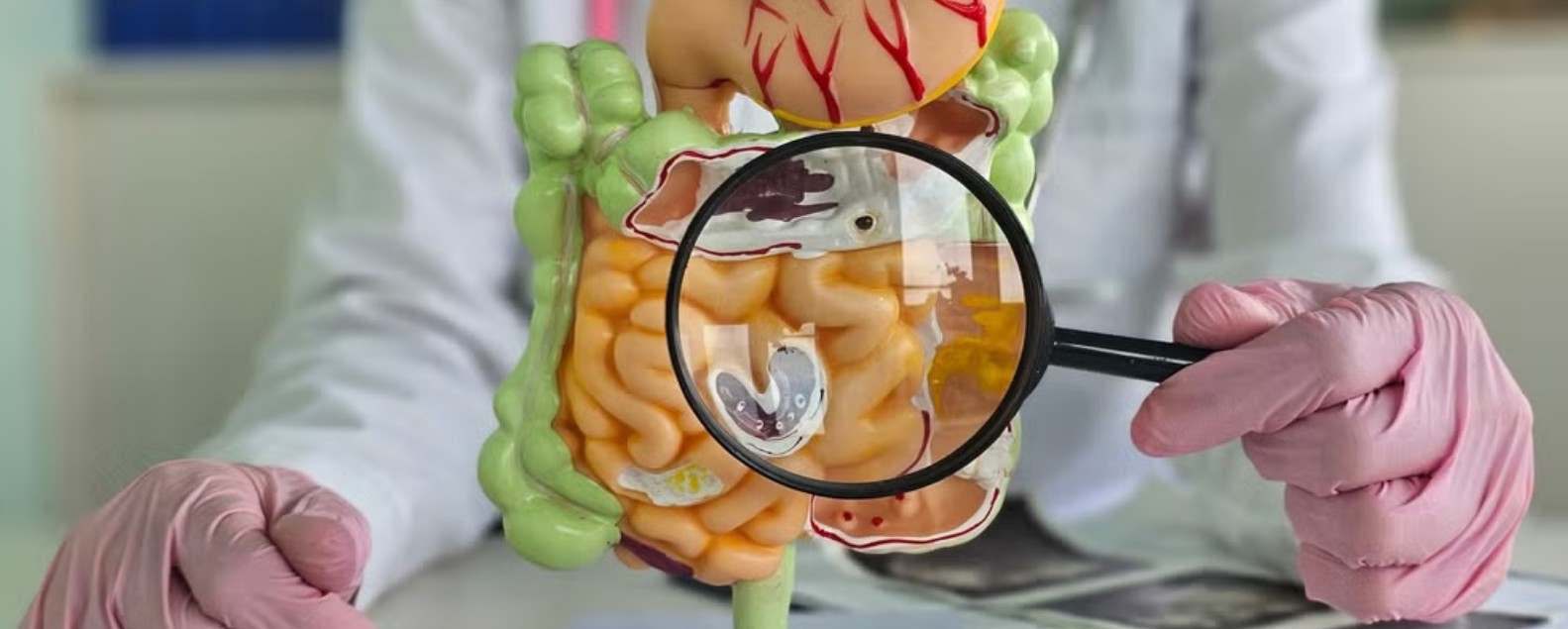 Agomab Therapeutics хочет оценку $828,5 млн на IPO в США