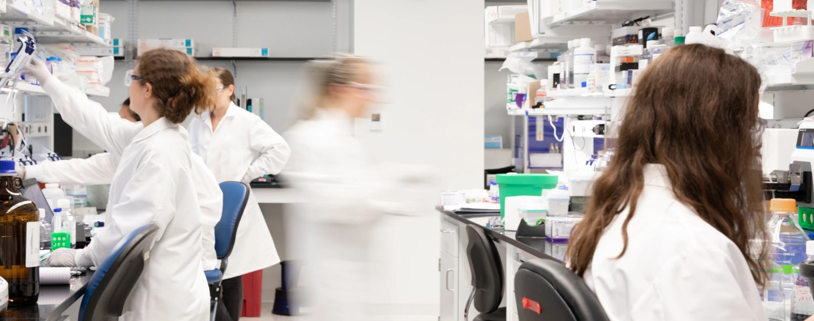 Успешные испытания онкопрепарата вывели стартап Parabilis Medicines (PBLS) на IPO